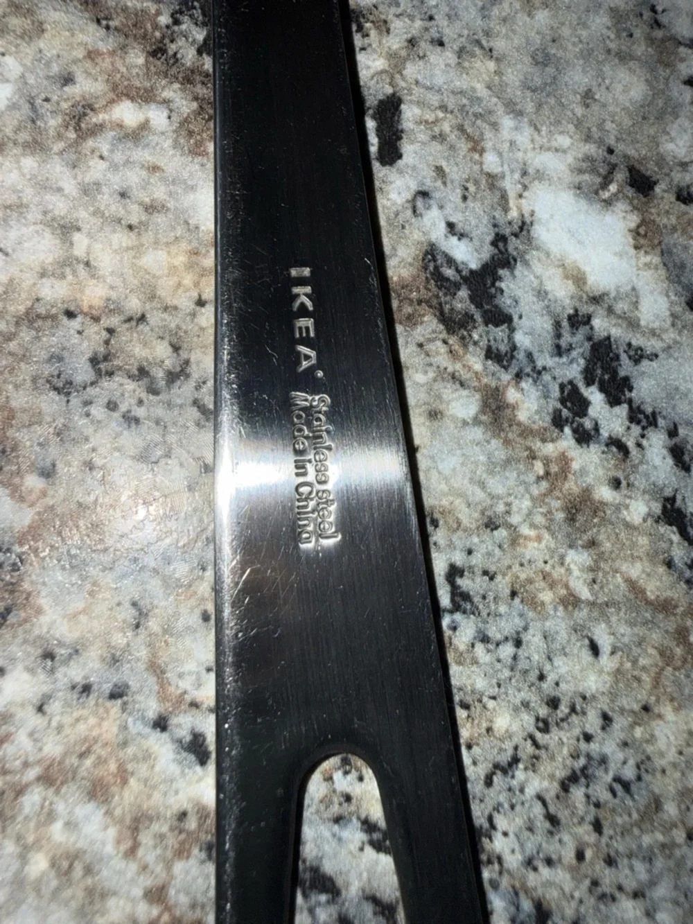 Stainless Steel Long Handle Serving Spoon - silver tone